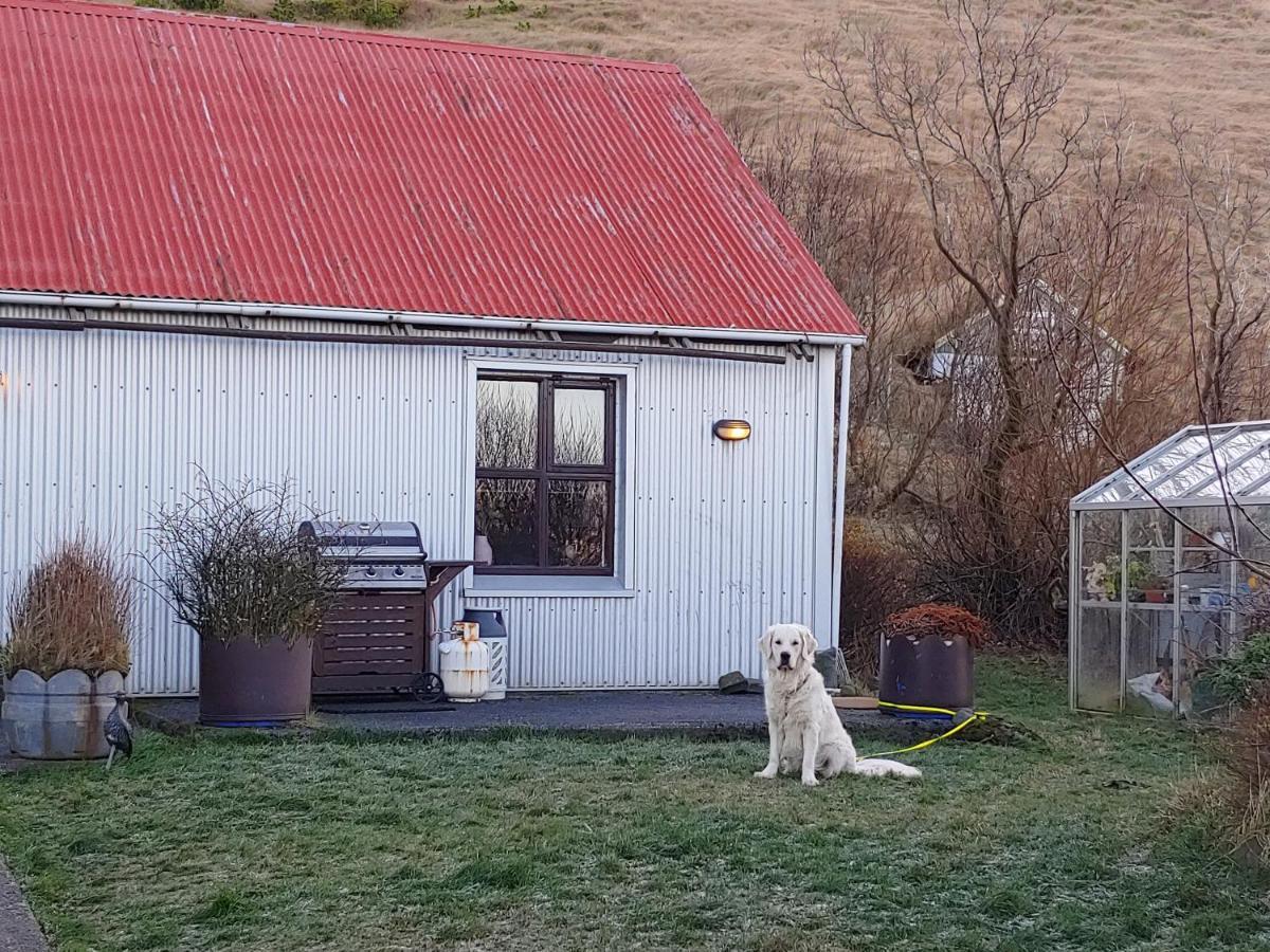 Prestshús 2 Guesthouse Vík Extérieur photo